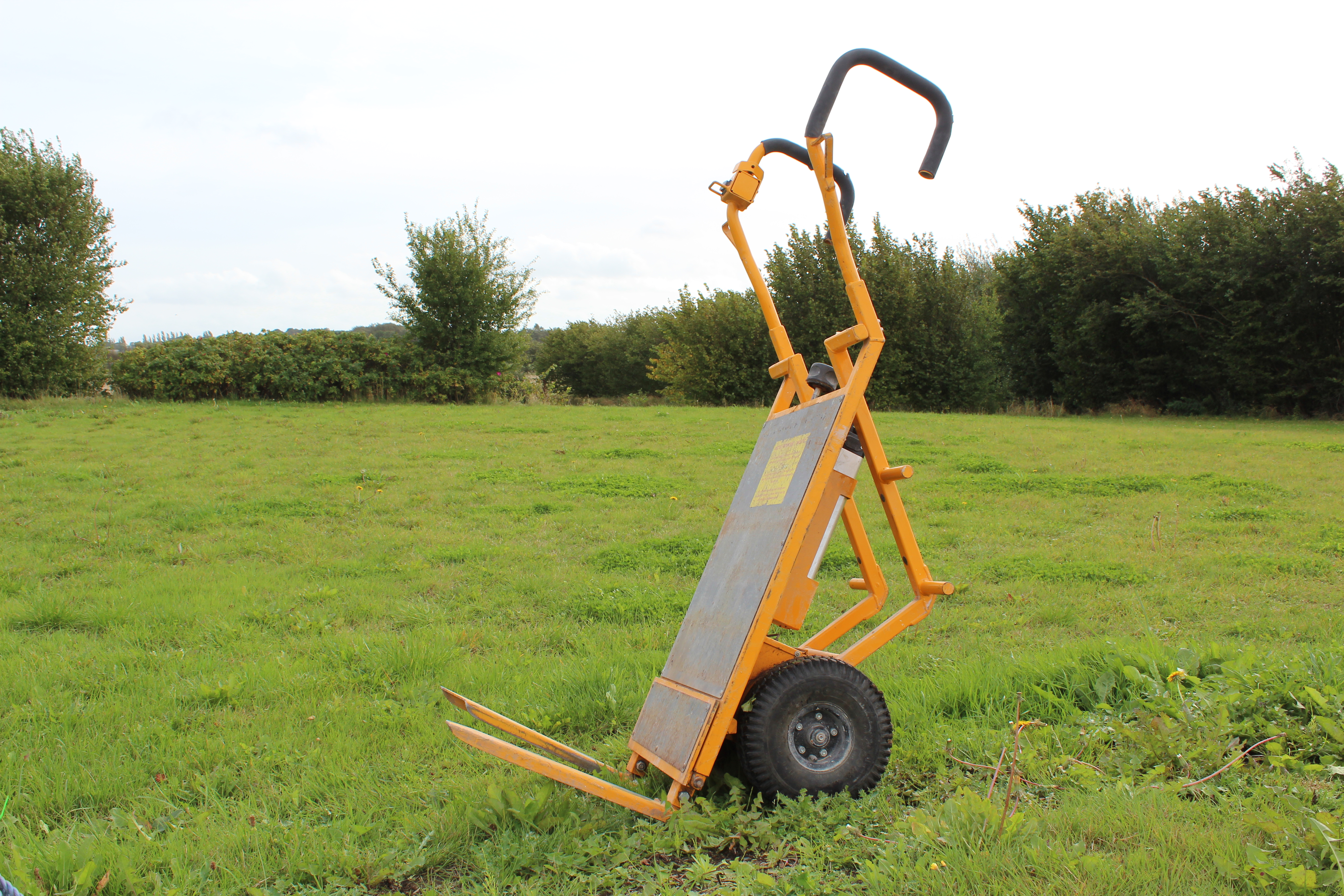 Eight shirts arranged on table in black, olive, grey, blue, white, red, mustard, and green.